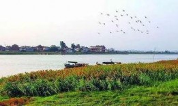 木兰溪跳河最新爆料,揭秘背后惊人真相